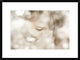 "Hi Lite" Framed Digital Print by Mel Brackstone, 30x22"