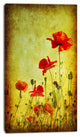 Poppy Flowers on Grunge Background, Floral Canvas Art Print, 16"x32"