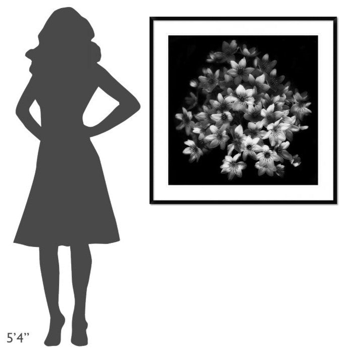 "Early Sensation" Framed Digital Print by Yvette Depaepe, 38"x38"
