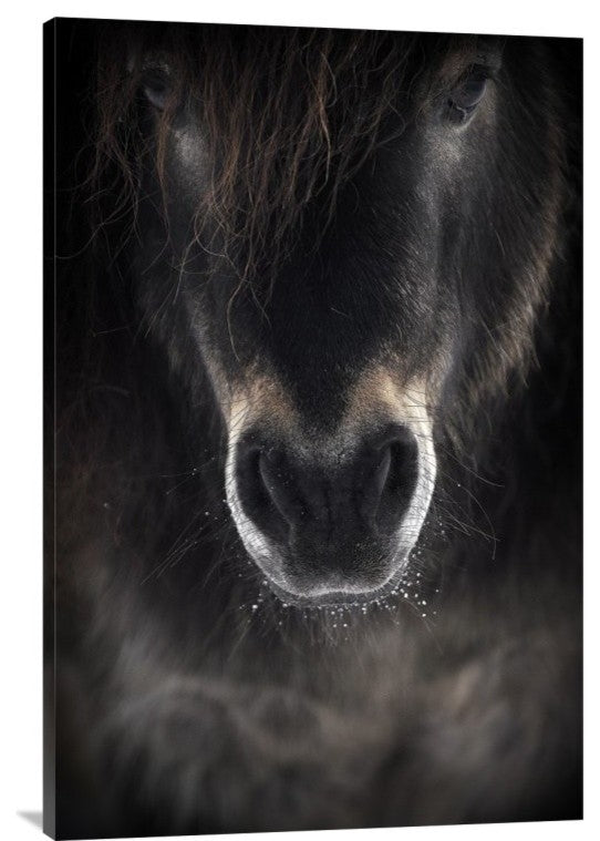 "Ulysses" Stretched Canvas Giclee by P R I, 24x36"