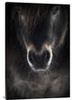 "Ulysses" Stretched Canvas Giclee by P R I, 24x36"