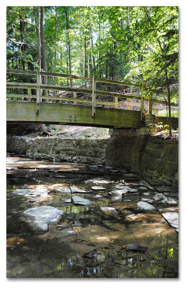 'Amicable Escape' Canvas Art by Monica Fleet