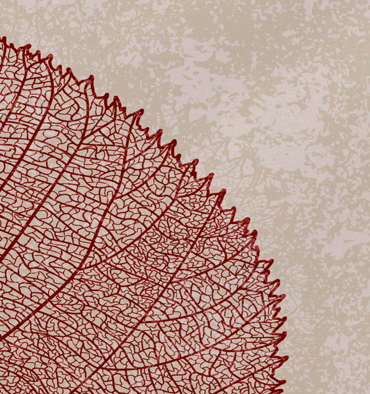 Leaf Study Floral Print Placemat, Set of 4, Red