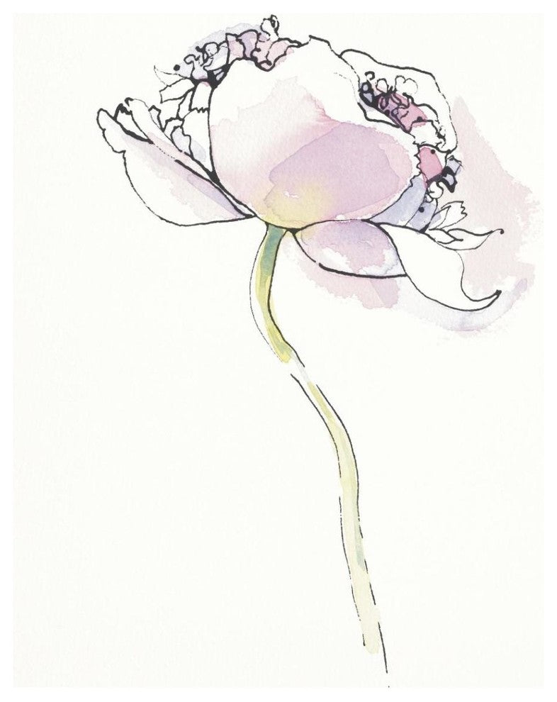 "Single Pink Somniferums I on White" Print by Shirley Novak, 36"x42"