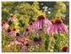 'Daisy' Canvas Art by Patty Tuggle