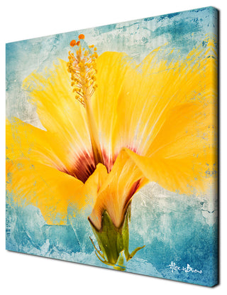 Painted Petals XVII Canvas Wall Art, 30"x30"