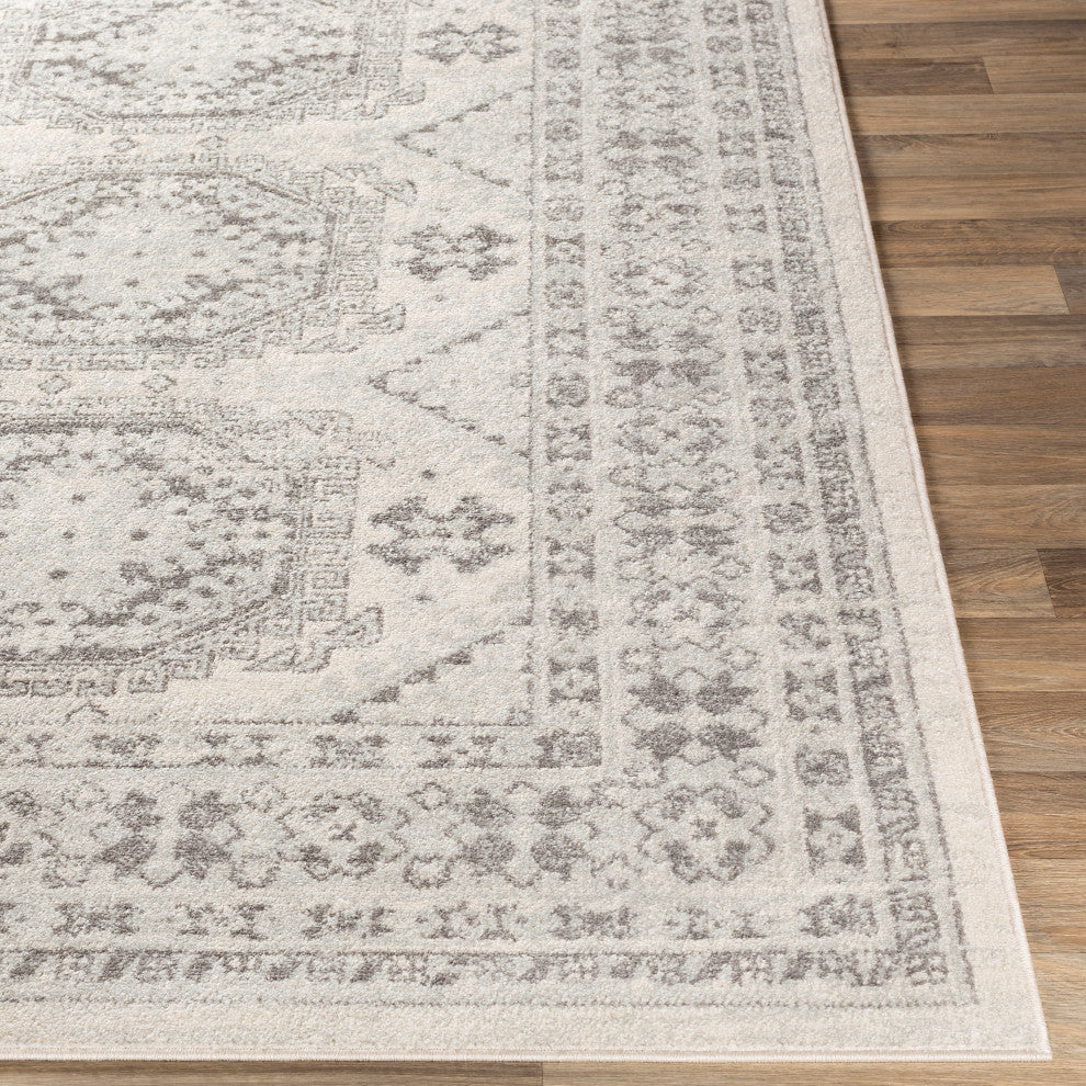 Surya Chester CHE-2309 Global Area Rug, 9' x 12' Rectangle