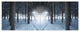 Winter Forest with Dark Woods, Landscape Canvas Art Print, 70"x28", 6 Panels