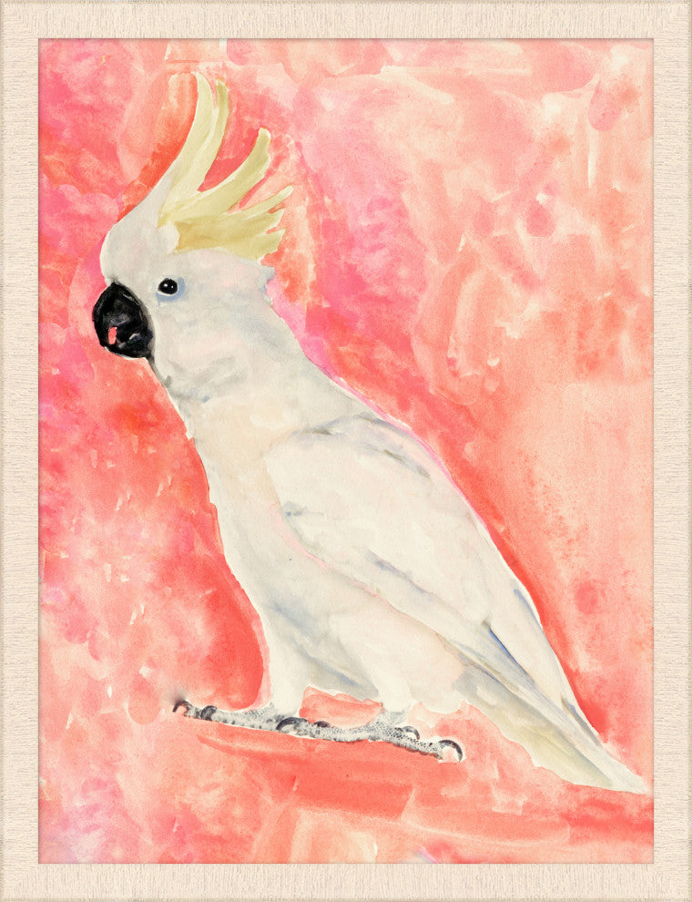 Colorful Cockatoo 2, Giclee Reproduction Artwork