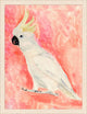 Colorful Cockatoo 2, Giclee Reproduction Artwork