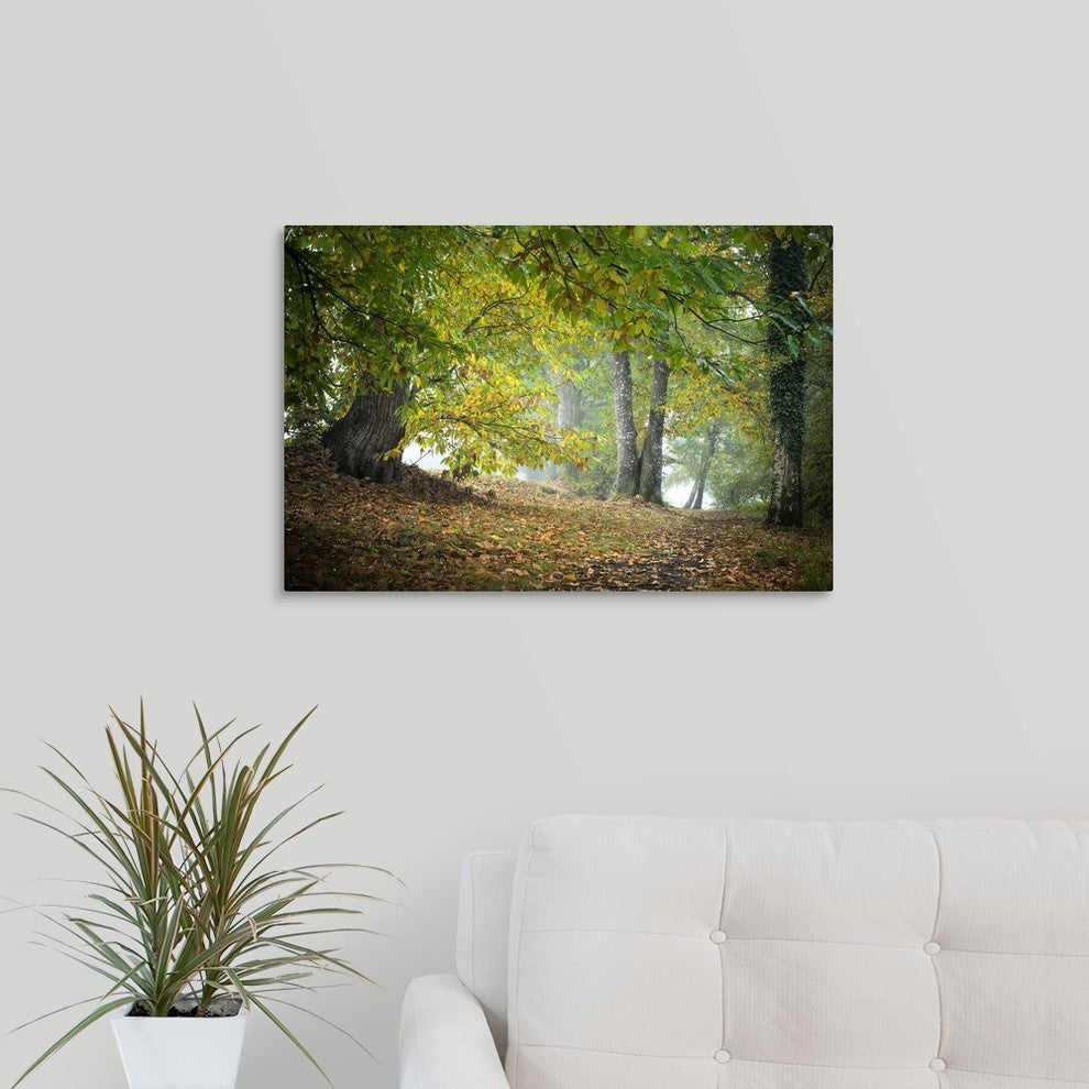 "Morning Walk" Wrapped Canvas Art Print, 24"x16"x1.5"