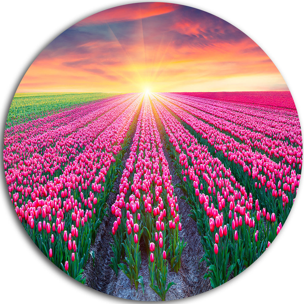 Blooming Tulips At Sunrise, Photo Round Metal Wall Art, 38"