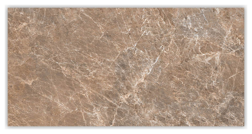 Mira Brown Sand Textured 24x48 Porcelain Tile