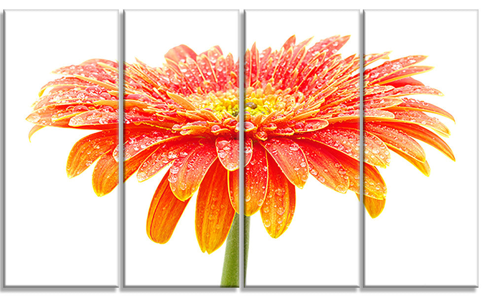 Large Orange Gerbera on White, Floral Canvas Art Print, 48"x28", 4 Panels
