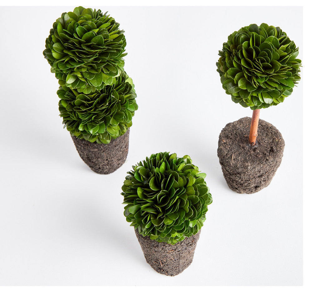 Boxwood Mini Topiary Drop-Ins, Set of 3