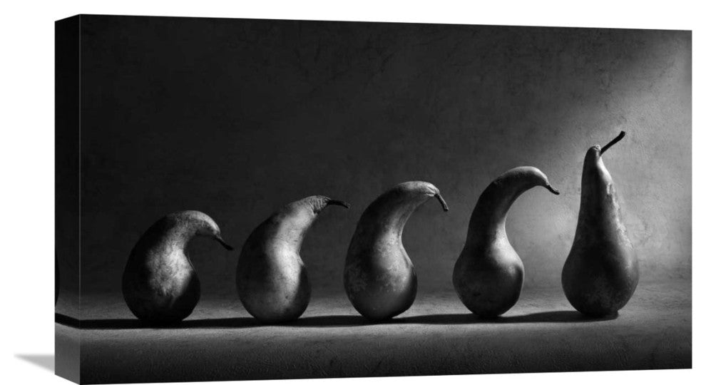 "The Evolution" Stretched Canvas Giclee by Victoria Ivanova, 22"x13"