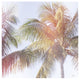 "Dream Palm III" Digital Paper Print by Sue Schlabach, 42"x42"