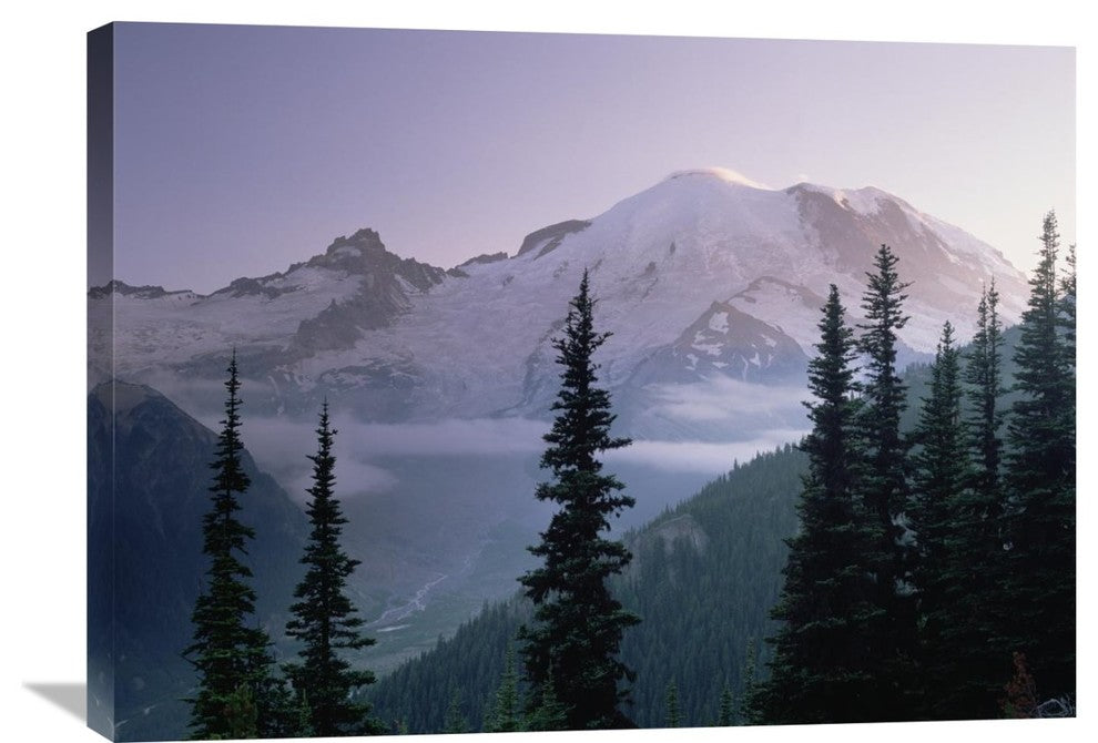 "Mt Rainier As Seen At Sunrise, Mt Rainier National Park, Washington" Artwork