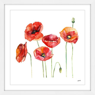 "Poppie Field" Framed Print by Rachel Byler