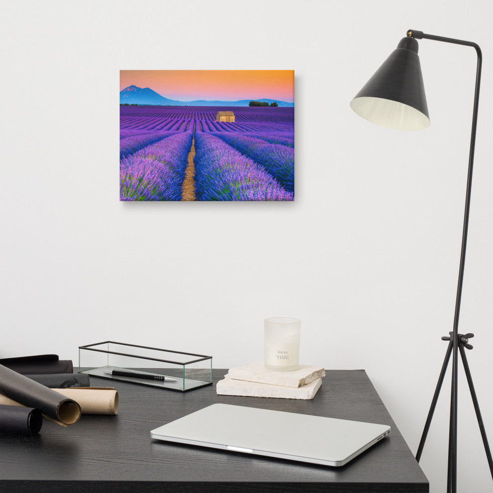 Blooming Lavender Field and Sunset Landscape Photo Canvas Prints, 12" X 16"