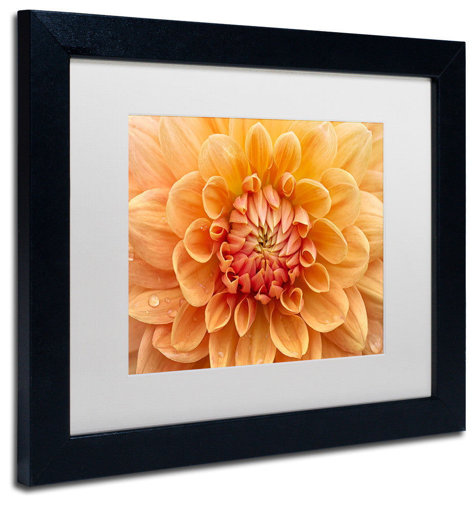 Cora Niele ''Orange Dahlia'' Matted Framed Art