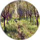Blossom Apples Garden, Photography Round Metal Wall Art, 36"