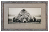 Uttermost Deep Sleep Bear Print