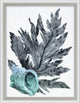 Under The Sea Fern, Giclee Reproduction Artwork