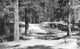 Ivan Ivanovich Shishkin Piny Forest Wall Decal