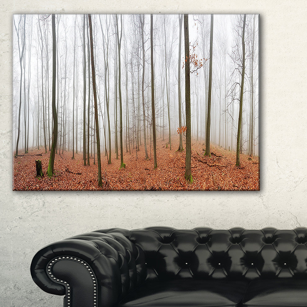 "Fall Forest With Trees At Mist" Oversized Forest Wall Art, 32"x16"