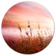 Foggy Land With Early Morning Mist, Landscape Disc Metal Wall Art, 23"