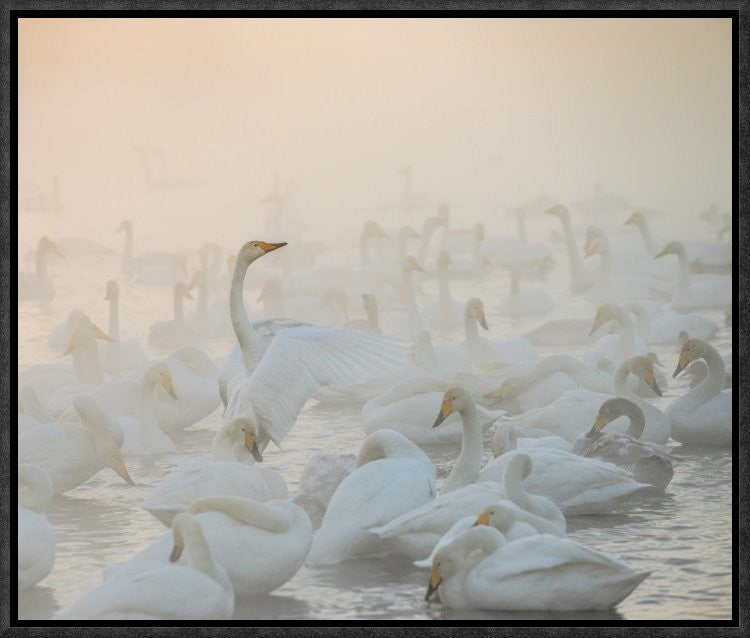 "Song Of The Morning Light" Framed Canvas Giclee by Dmitry Dubikovskiy, 17x14"