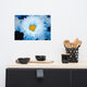 Blue Tinted Chrysanthemums Floral Nature Photo Loose Wall Art Print, 12" X 18"