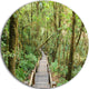 Walk Way In Deep Forest, Landscape Photo Disc Metal Wall Art, 11"