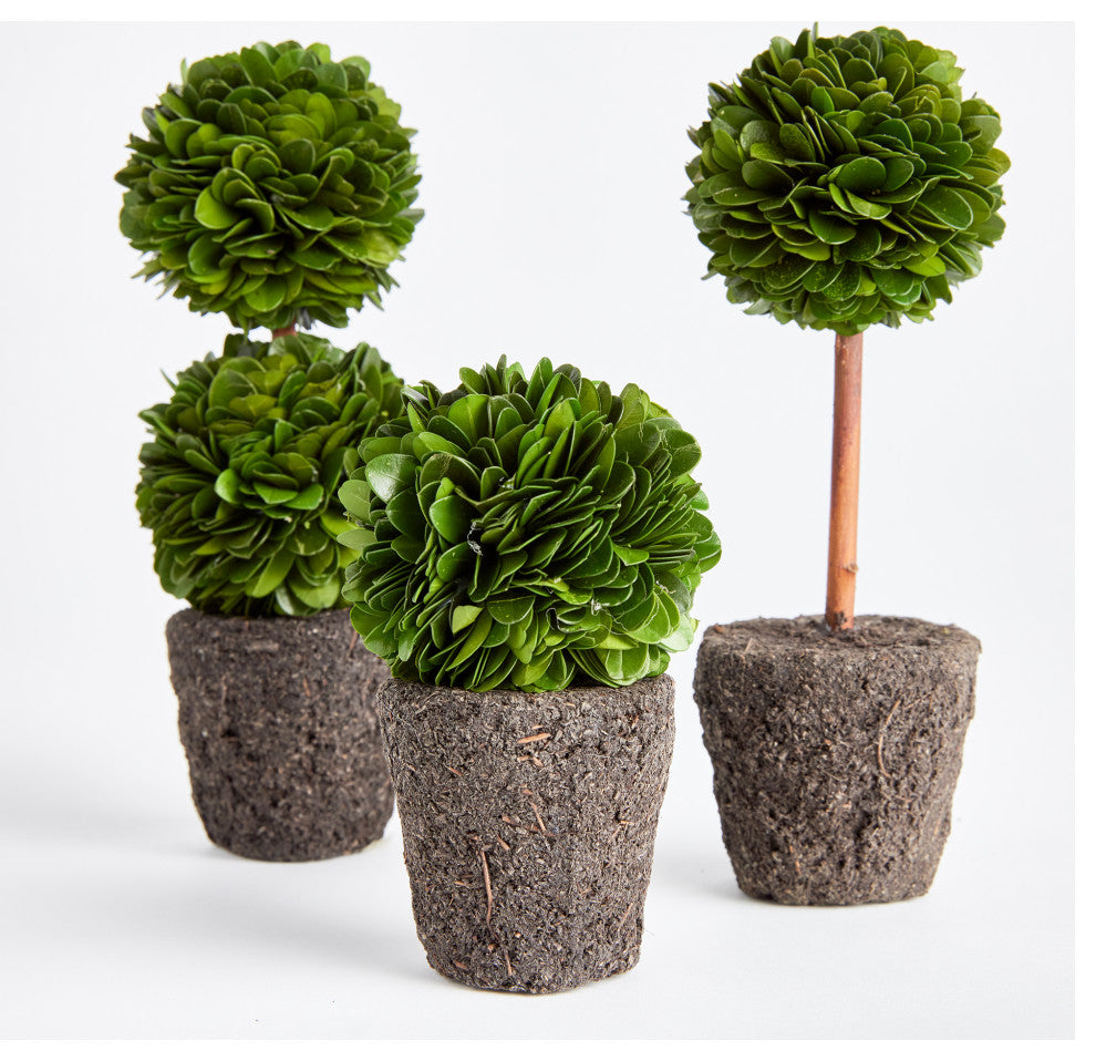 Boxwood Mini Topiary Drop-Ins, Set of 3