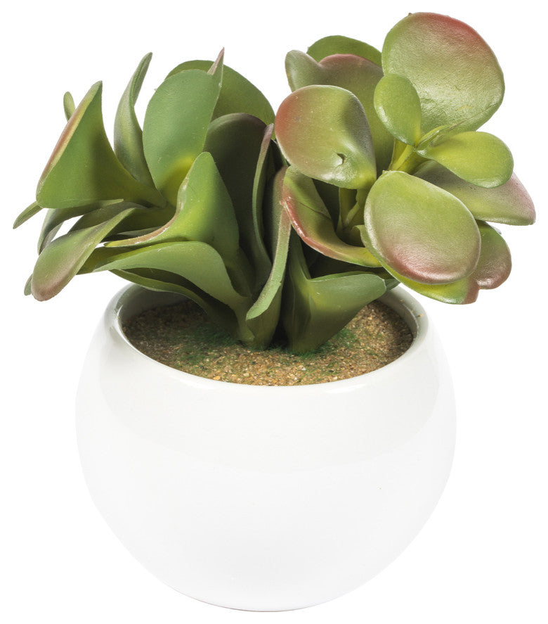Vickerman 5" Artificial Assorted Potted Succulents