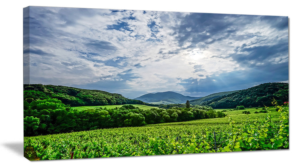 Thunderstorm Weather over Vineyards, Landscape Canvas Art Print, 40x20