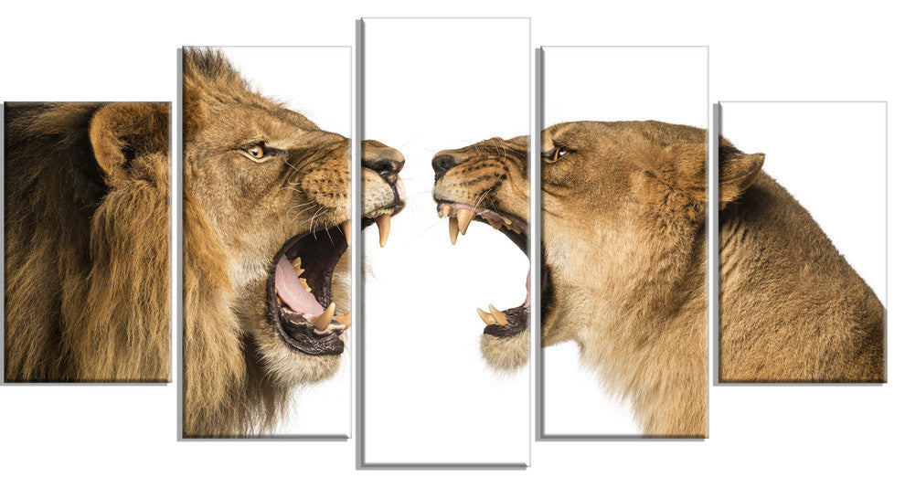 Lion and Lioness Roaring, Abstract Canvas Art Print, 60"x32", 5 Panels