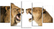 Lion and Lioness Roaring, Abstract Canvas Art Print, 60"x32", 5 Panels