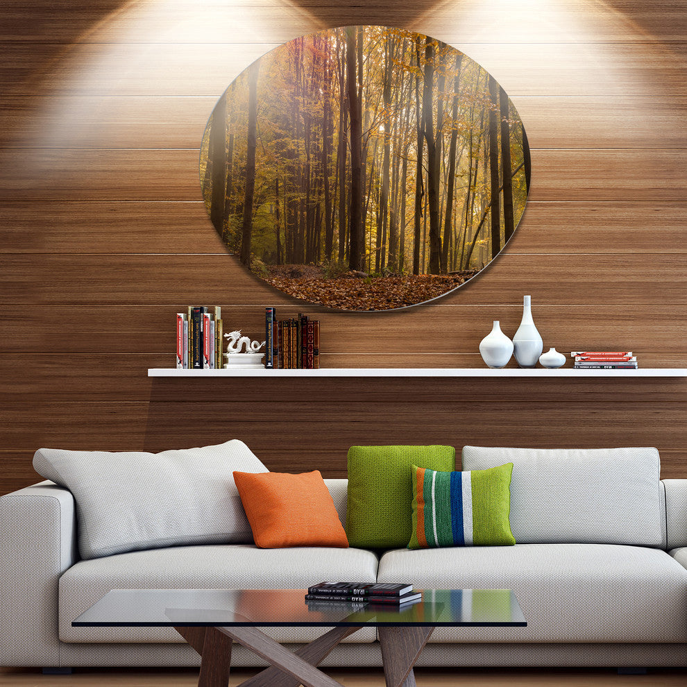 Dense Forest In Rays Of Rising Sun, Forest Disc Metal Wall Art, 11"