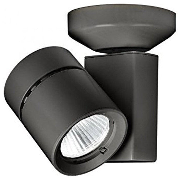 Exterminator II 1 Light Spot Light, Black