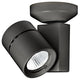 Exterminator II 1 Light Spot Light, Black