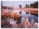 "Fairy Autumn Dawn Panorama" Metal Wall Art, 3 Panels, 36"x28"