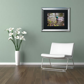 Jason Shaffer 'Mallard' Matted Framed Art, Silver Frame, Black Mat, 14x11