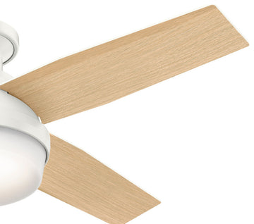 Hunter Fan Company  44" Dempsey Low Profile  Ceiling Fan With Light + Remote, Fresh White