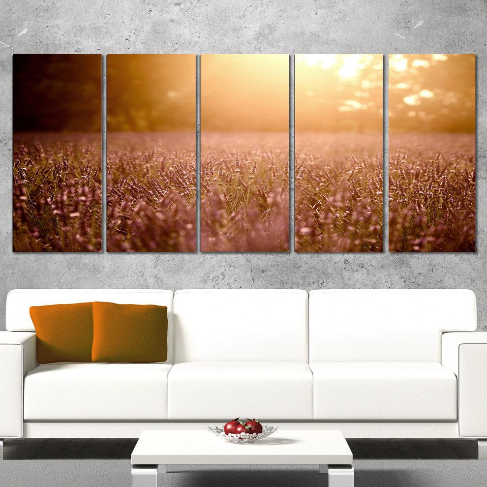 Brown Tinged Lavender Field Sunset, Floral Canvas Art Print, 60"x28", 5 Panels
