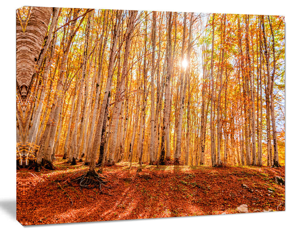 Colorful Red Forest at Sunset, Modern Forest Canvas Art, 40"x30"
