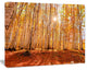 Colorful Red Forest at Sunset, Modern Forest Canvas Art, 40"x30"