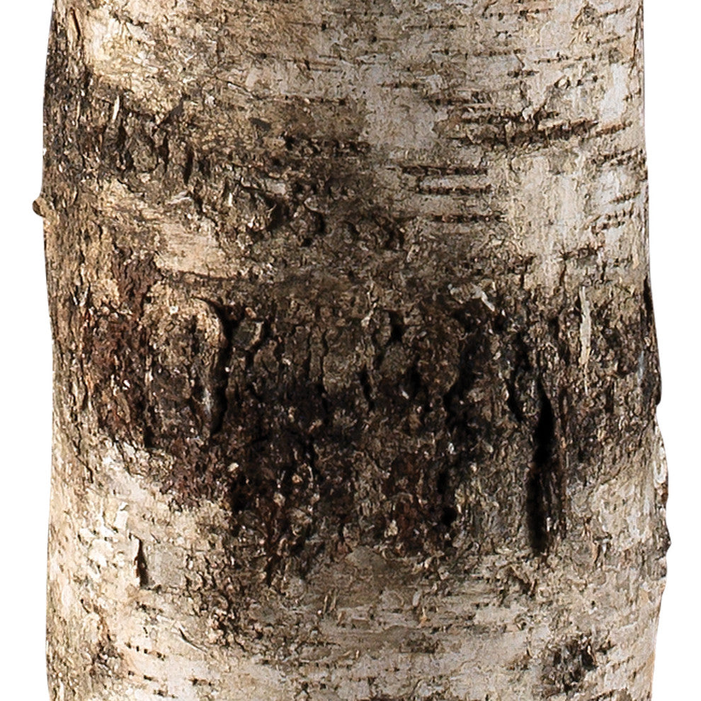 Forrester Floor Lamp, Birch Veneer With Drum Shade, Stone Linen