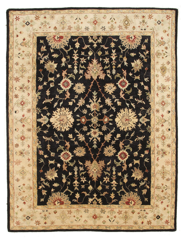 Black Traditional Oriental Agra Area Rug